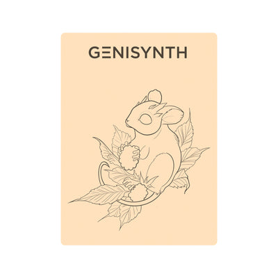Genisynth Fruit Mouse Tattoo Practice Skin
